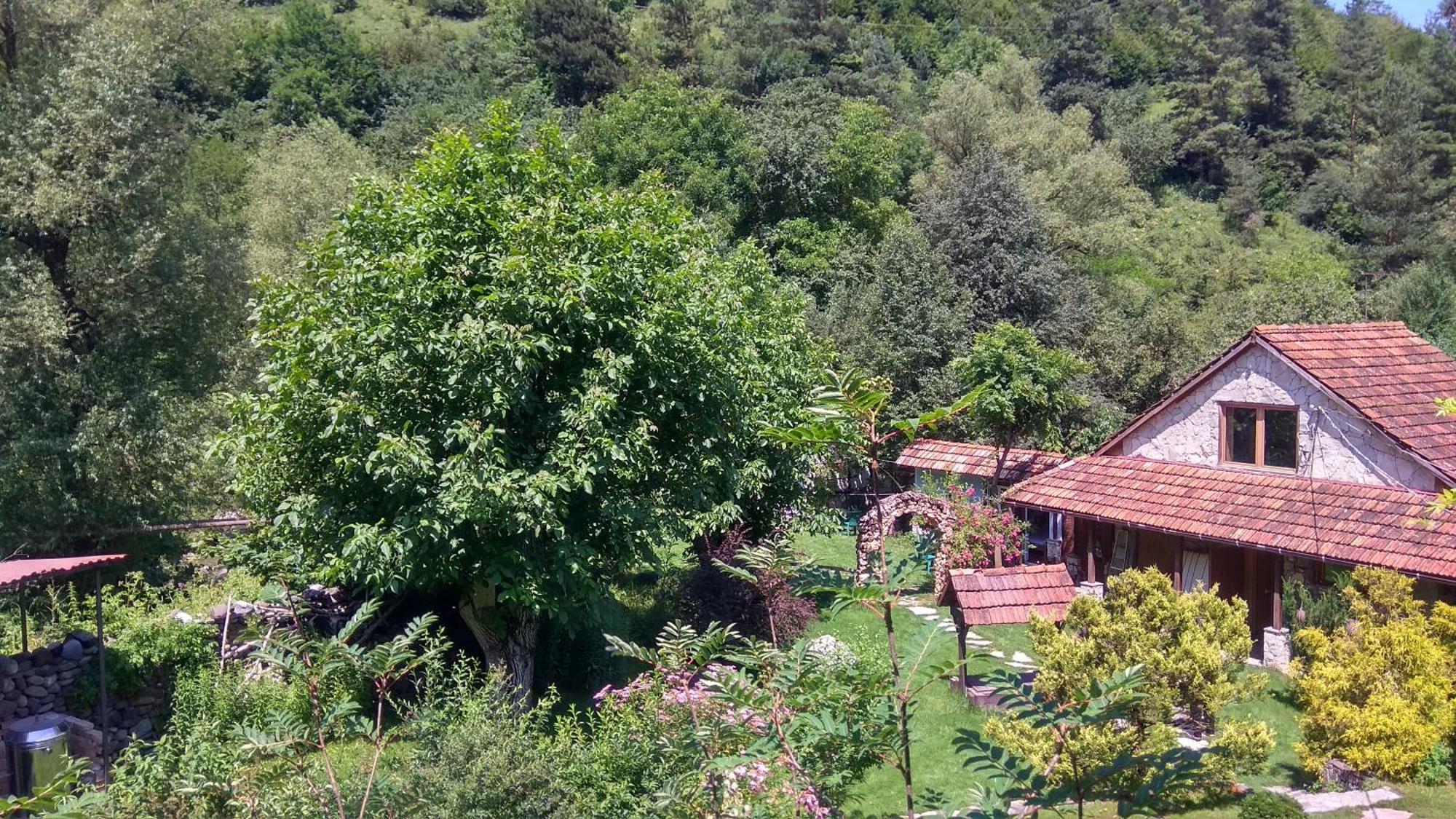 مبيت وإفطار ديليجان Eco Garden المظهر الخارجي الصورة